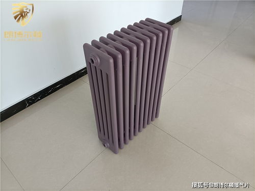 鋼制柱型五柱散熱器 暖氣片 參數(shù) 圖片 廠家 型號