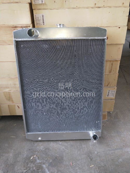 【大宇300-3散熱器,大宇300-3價格,圖片,配件廠家】