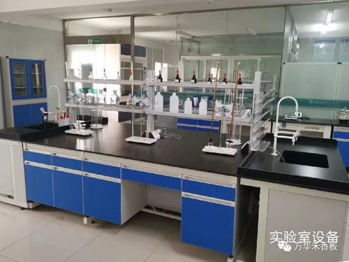 學(xué)習(xí)專業(yè)技能，提升服務(wù)水平，助力客戶2020再創(chuàng)新高